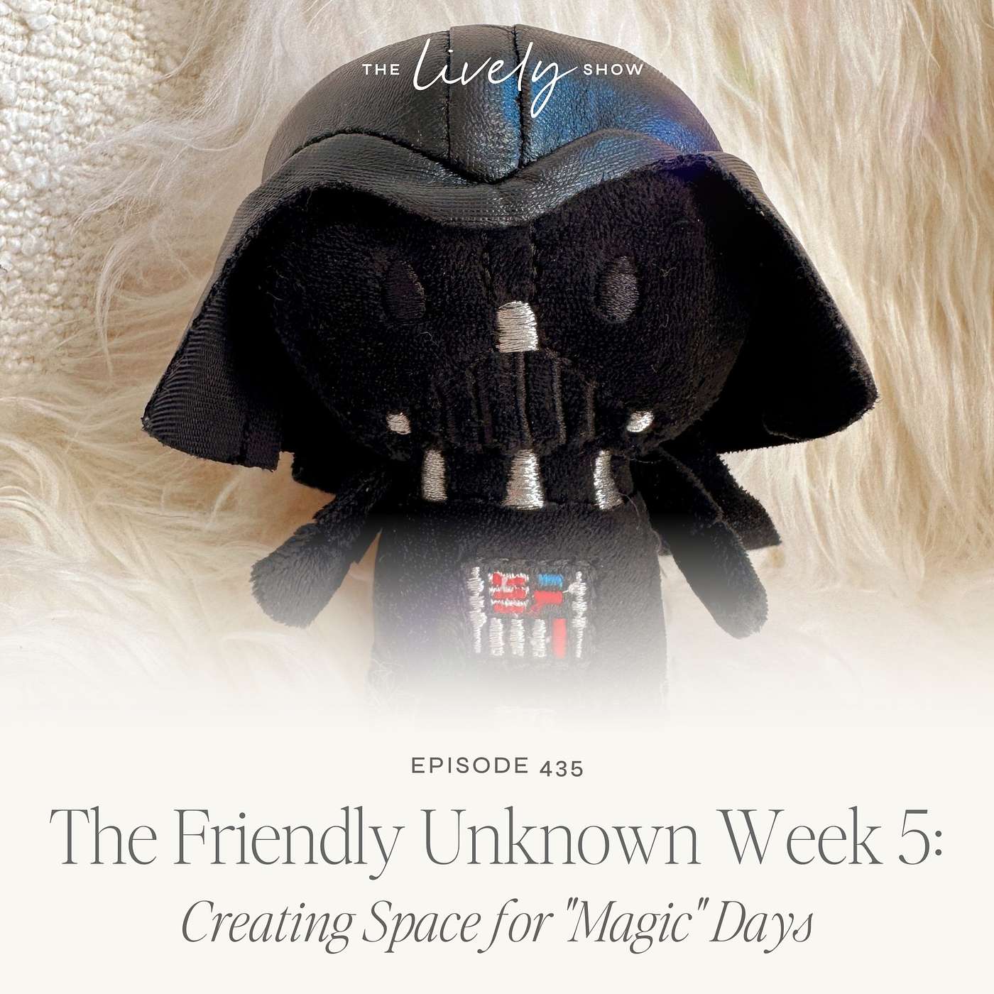 TLS 435 The Friendly Unknown Week 5: Creating Space for "Magic" Days episode artwork