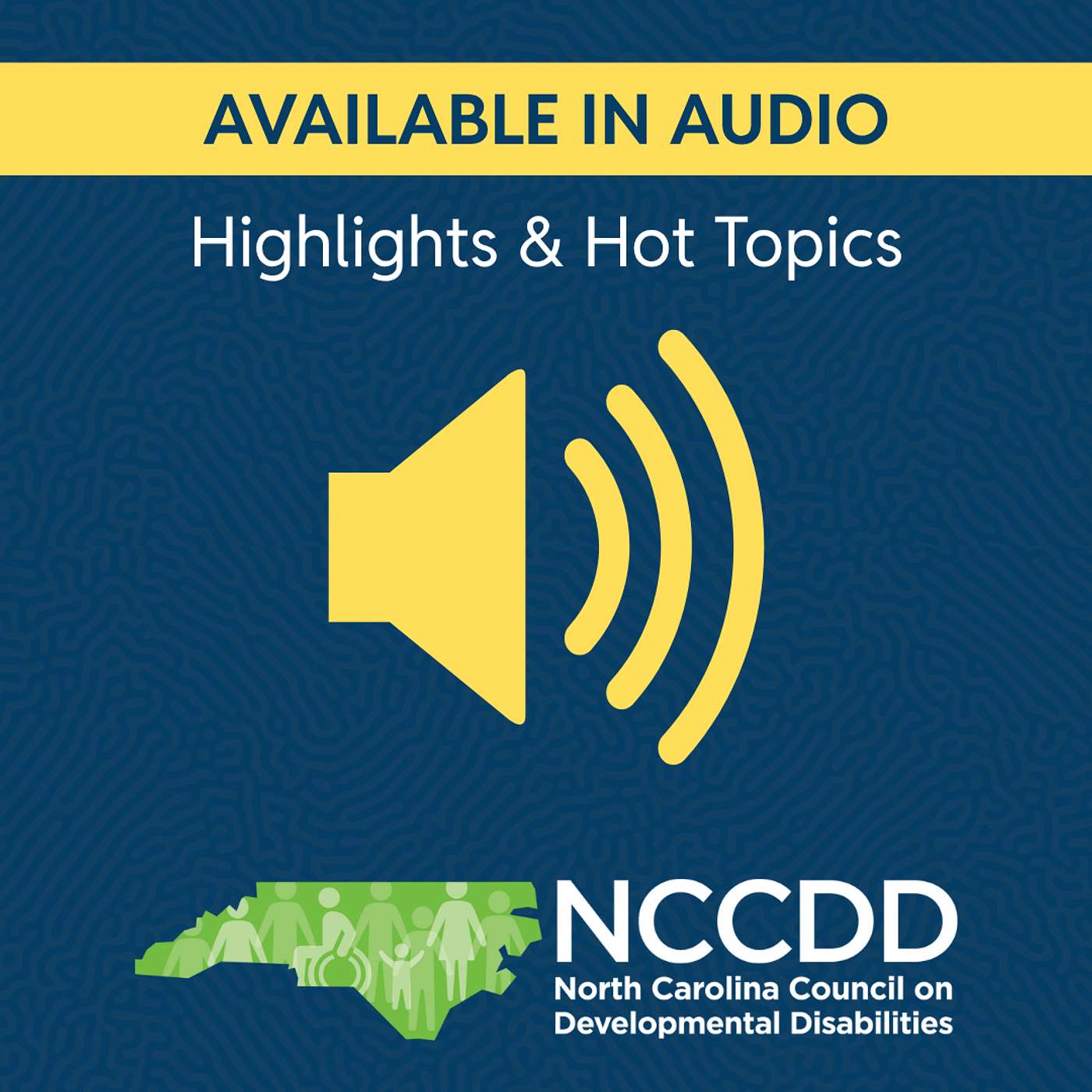 NCCDD's Highlights & Hot Topics