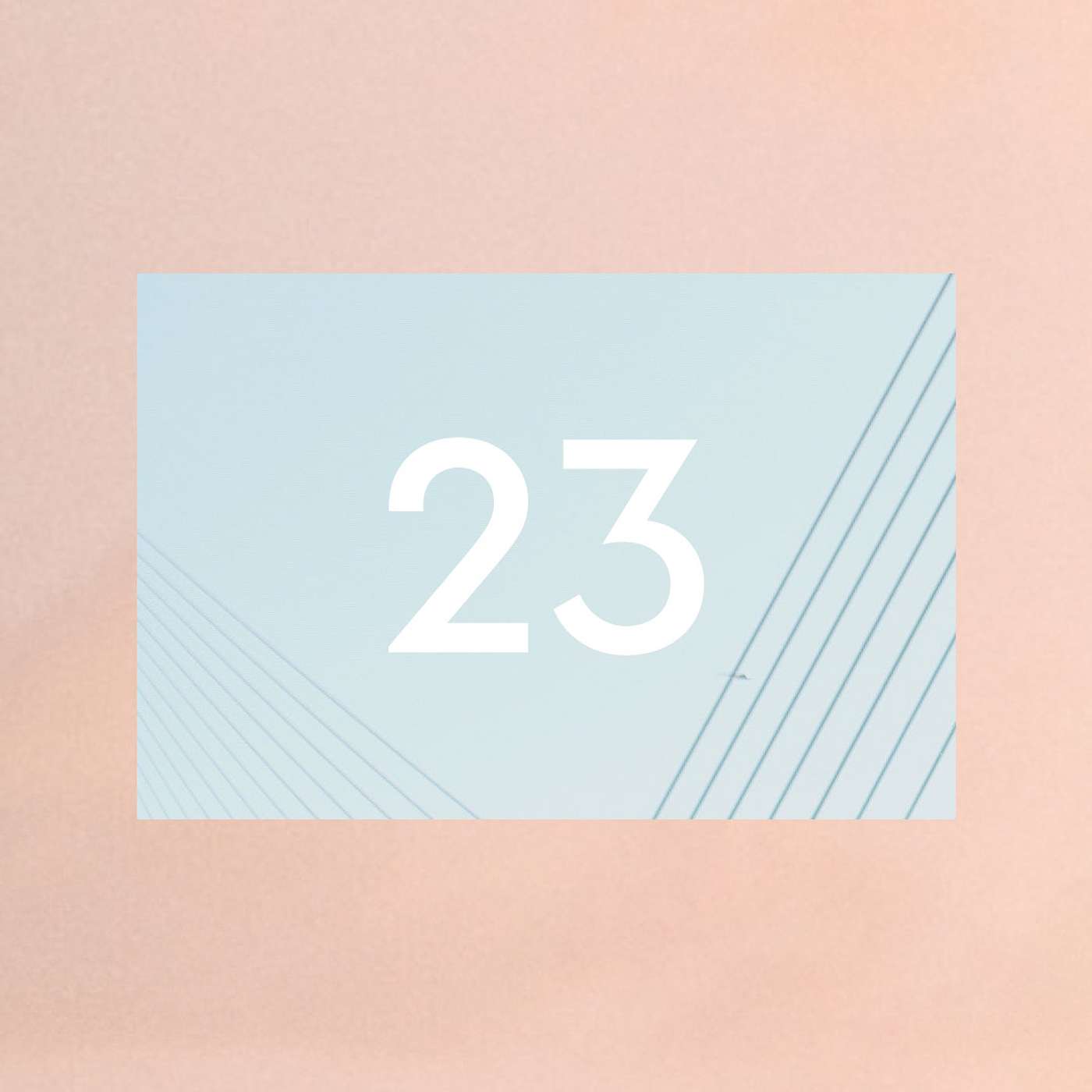 23