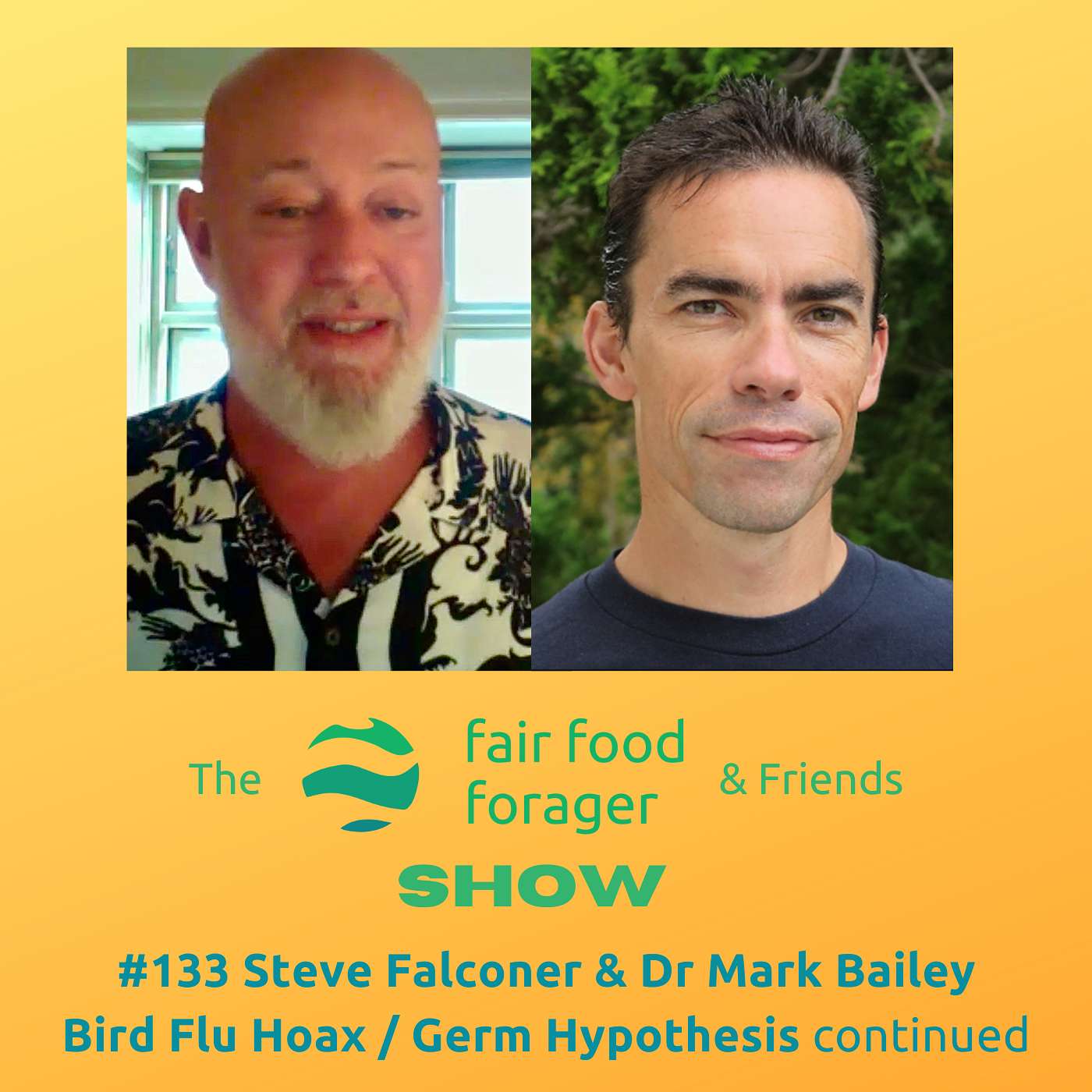 #133 Steve Falconer & Dr Mark Bailey - The bird flu hoax & debunking the germ theory hypothesis continued