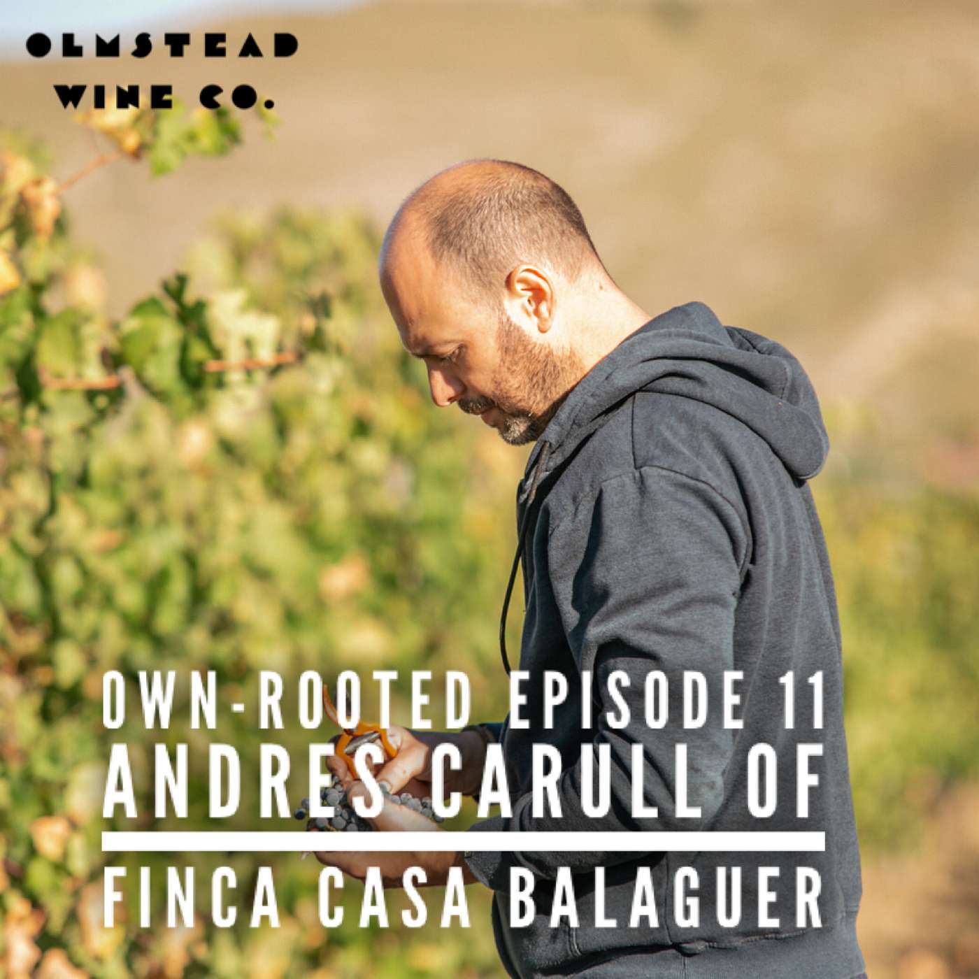Andres Carull of Finca Casa Balaguer Andres Carull of Finca Casa Balaguer