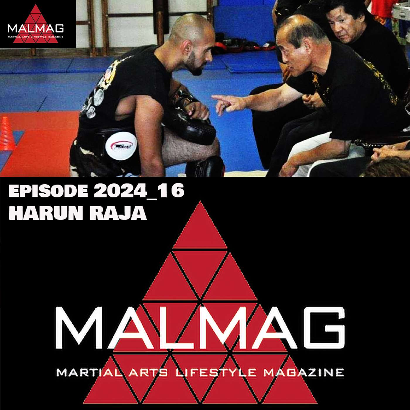 The Martial Arts Lifestyle Podcast