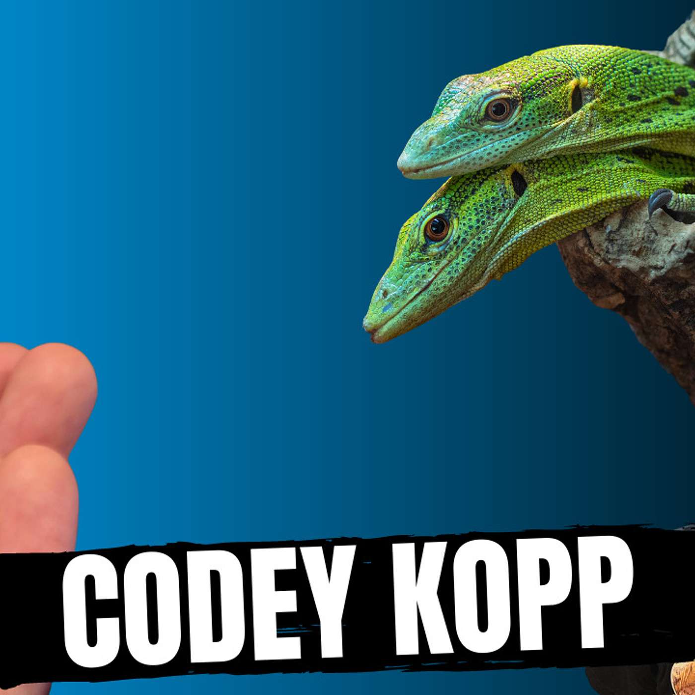 Codey talks being relevant in the Tree Monitor game