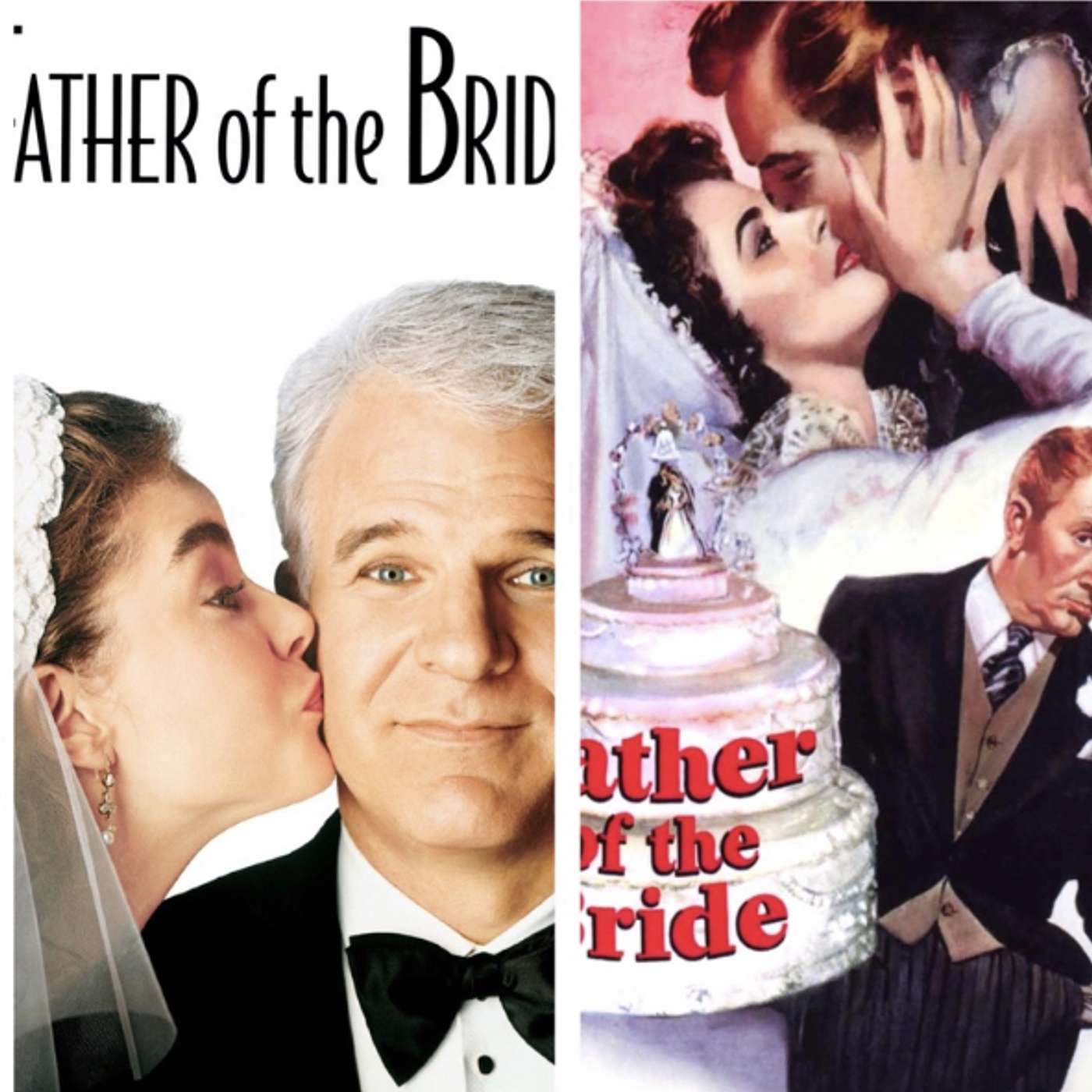Father of the Bride episode artwork