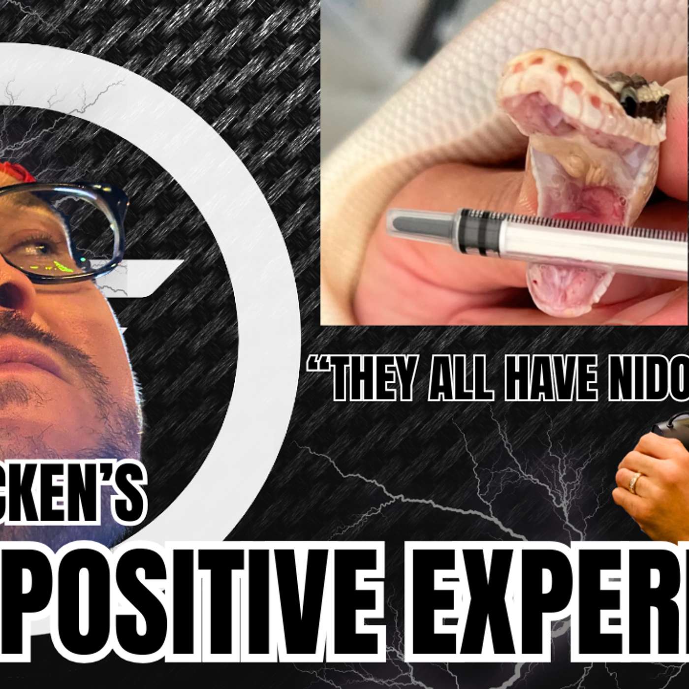 When A Shipment Of Green Tree Pythons All Test Positive For Nido Virus... Steps You MUST Take!