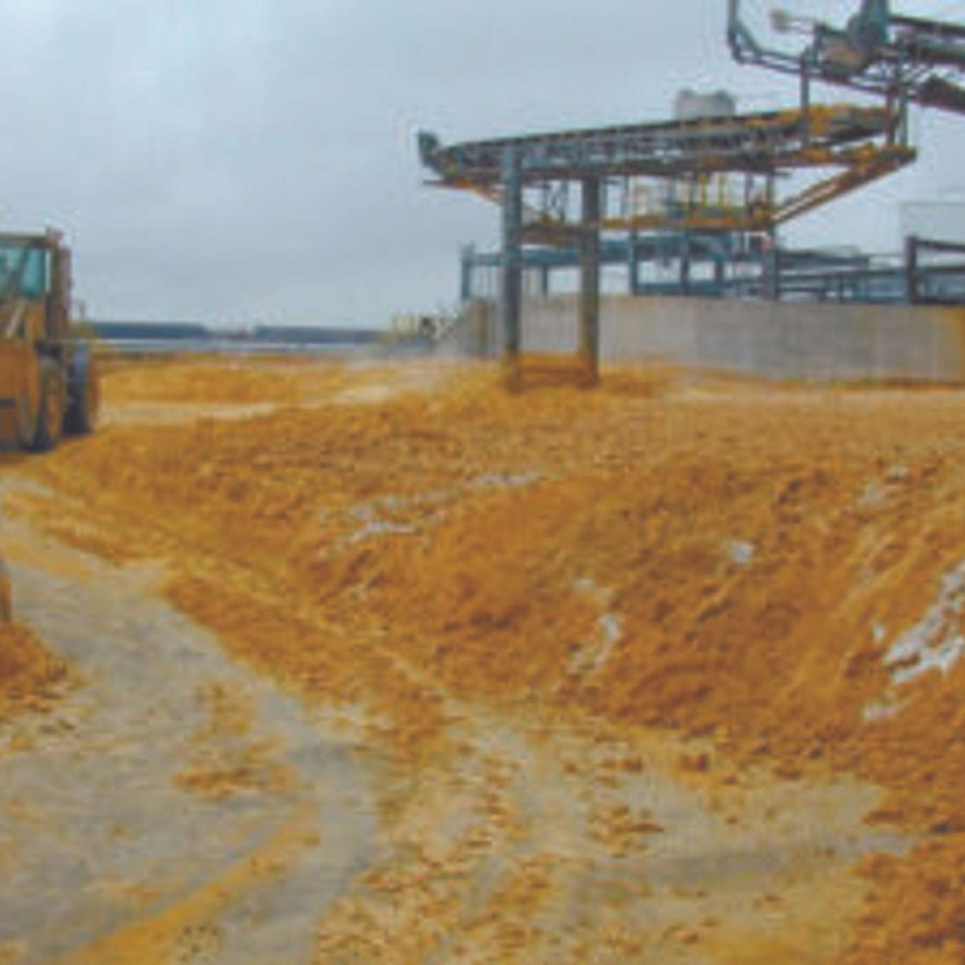 Opportunities for Distillers Feed Byproducts in your Beef Operation