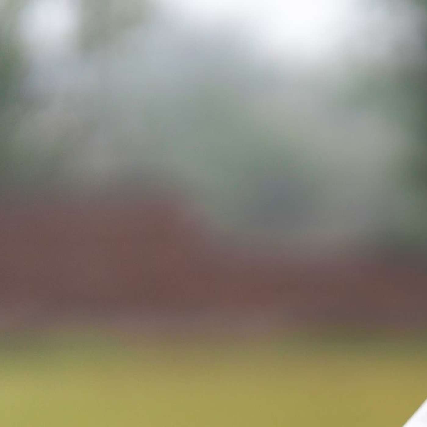 Cricket Training Nets: Master Your Batting & Bowling Skills Like a Pro!