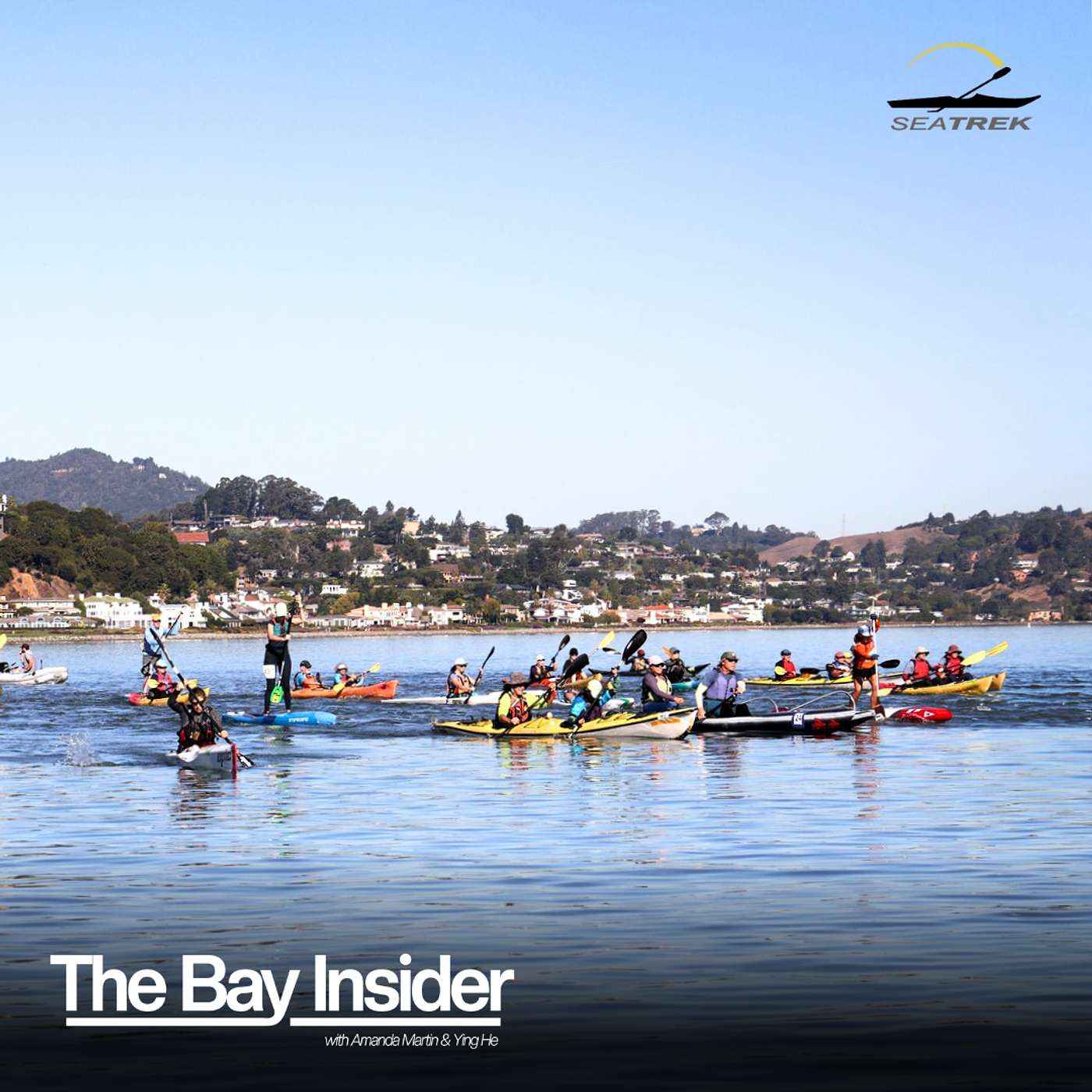The Bay Insider