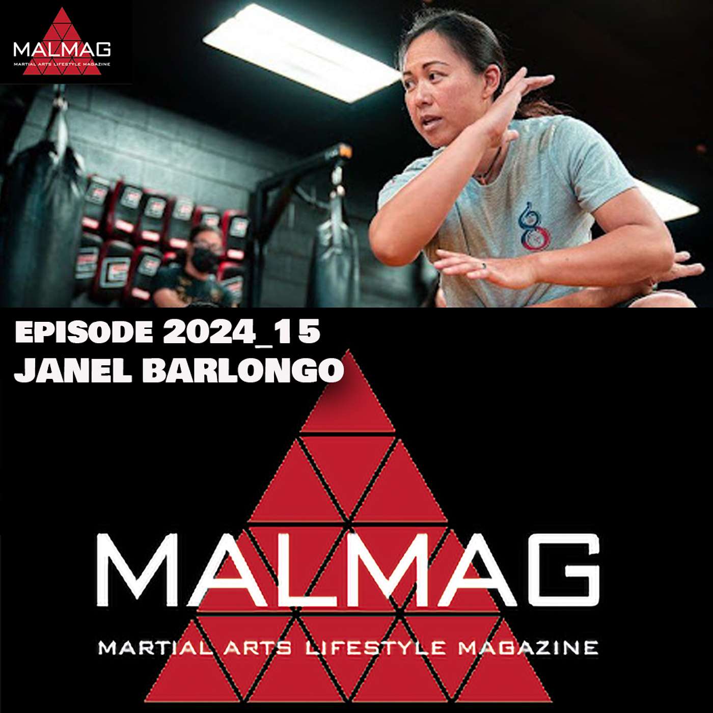 The Martial Arts Lifestyle Podcast