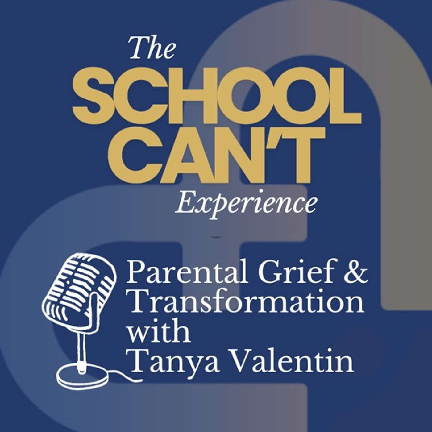 The School Can\'t Experience