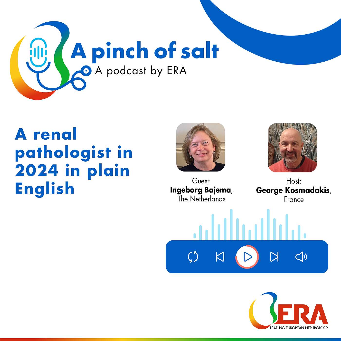 #32 A renal pathologist in 2024 in plain English, with Ingeborg Bajema