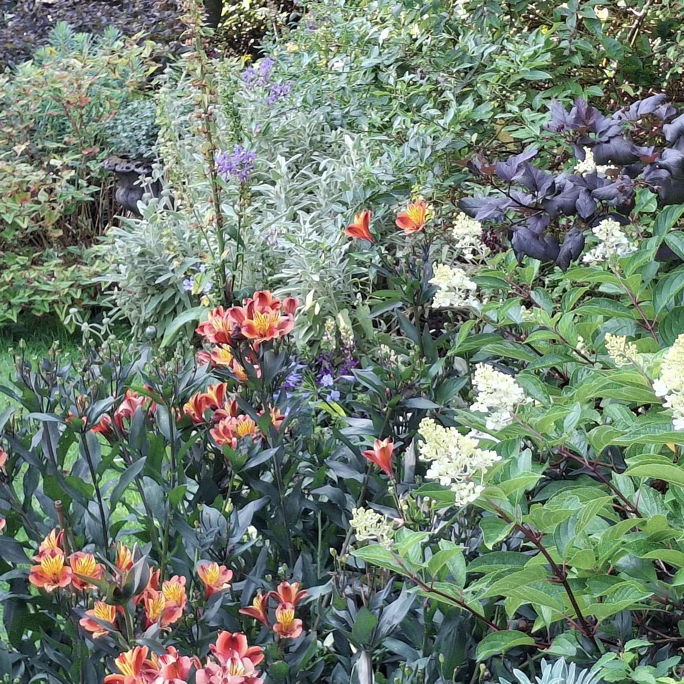 What Experienced Gardeners Wish They'd Known Sooner With David Stevens