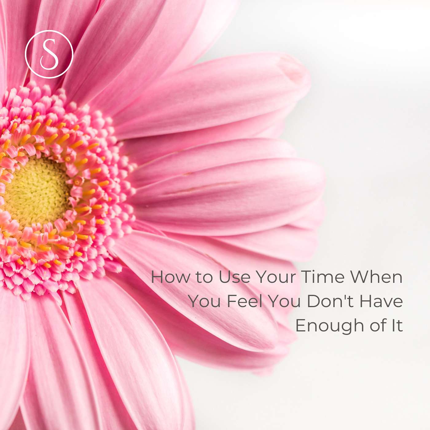 119. How to Make the Best Use of Your Time When You Feel Overwhelmed episode artwork