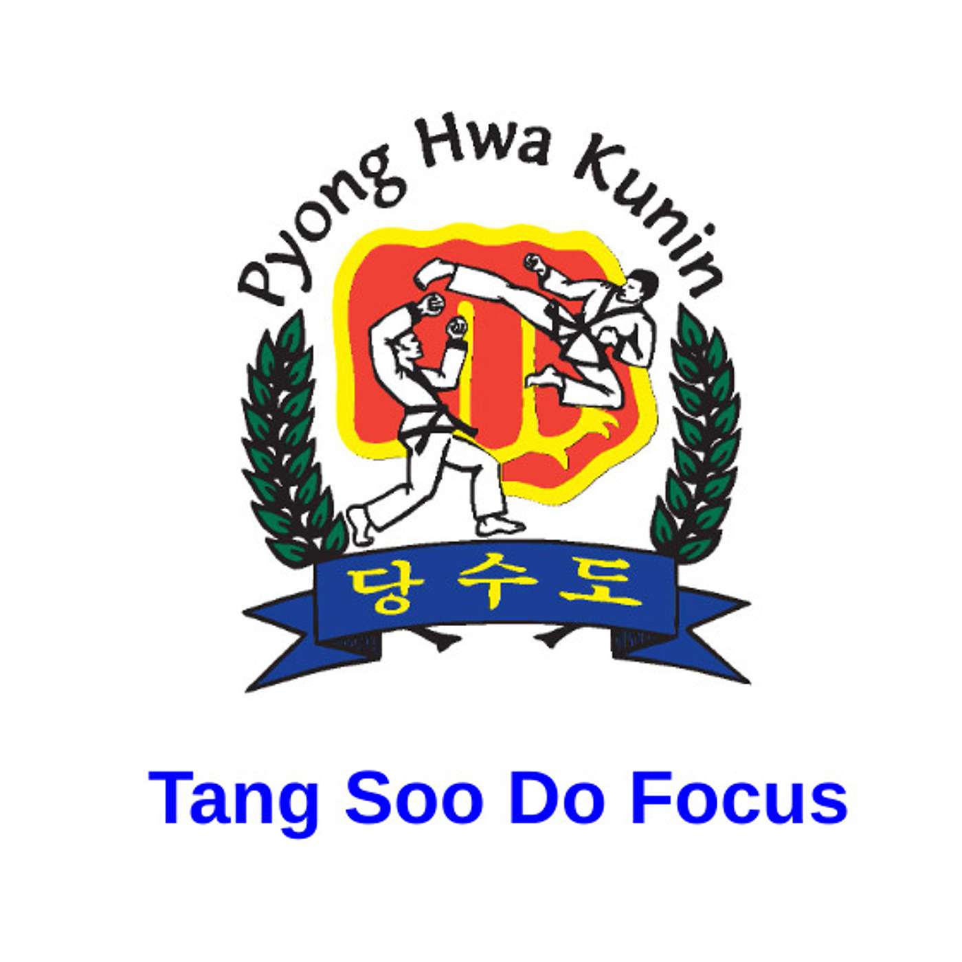 Tang Soo Do Focus Episode 1- Introduction- My Tang Soo Do journey