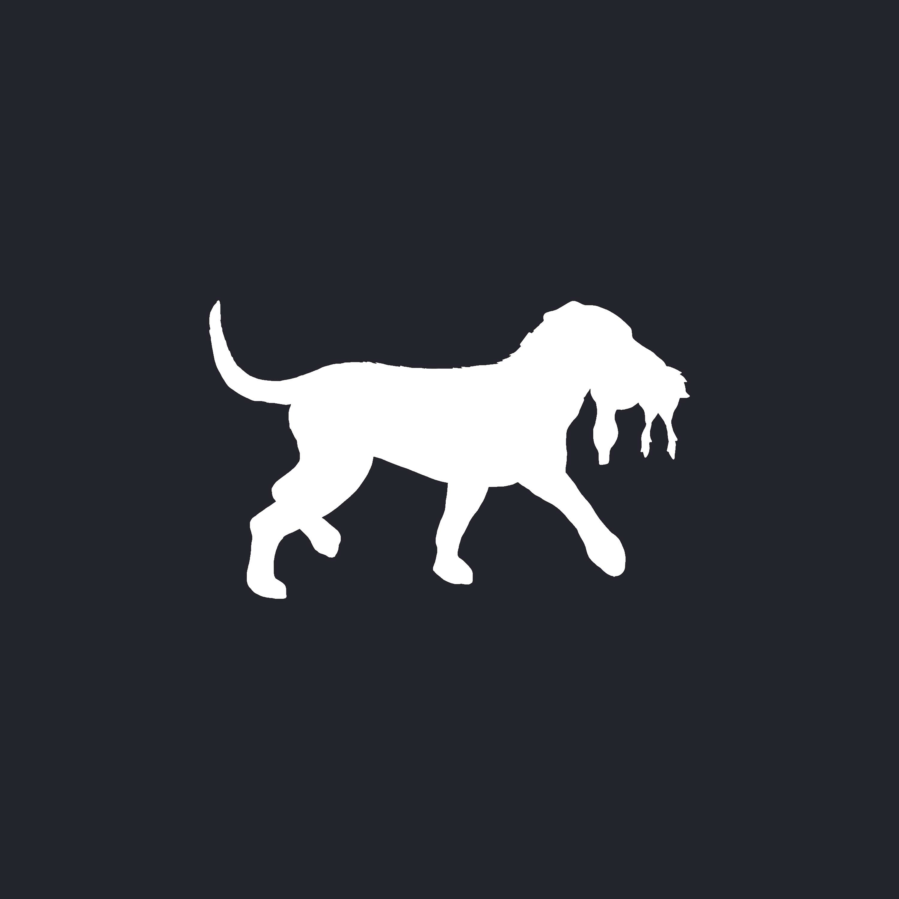 Back Down South Clothing Co.