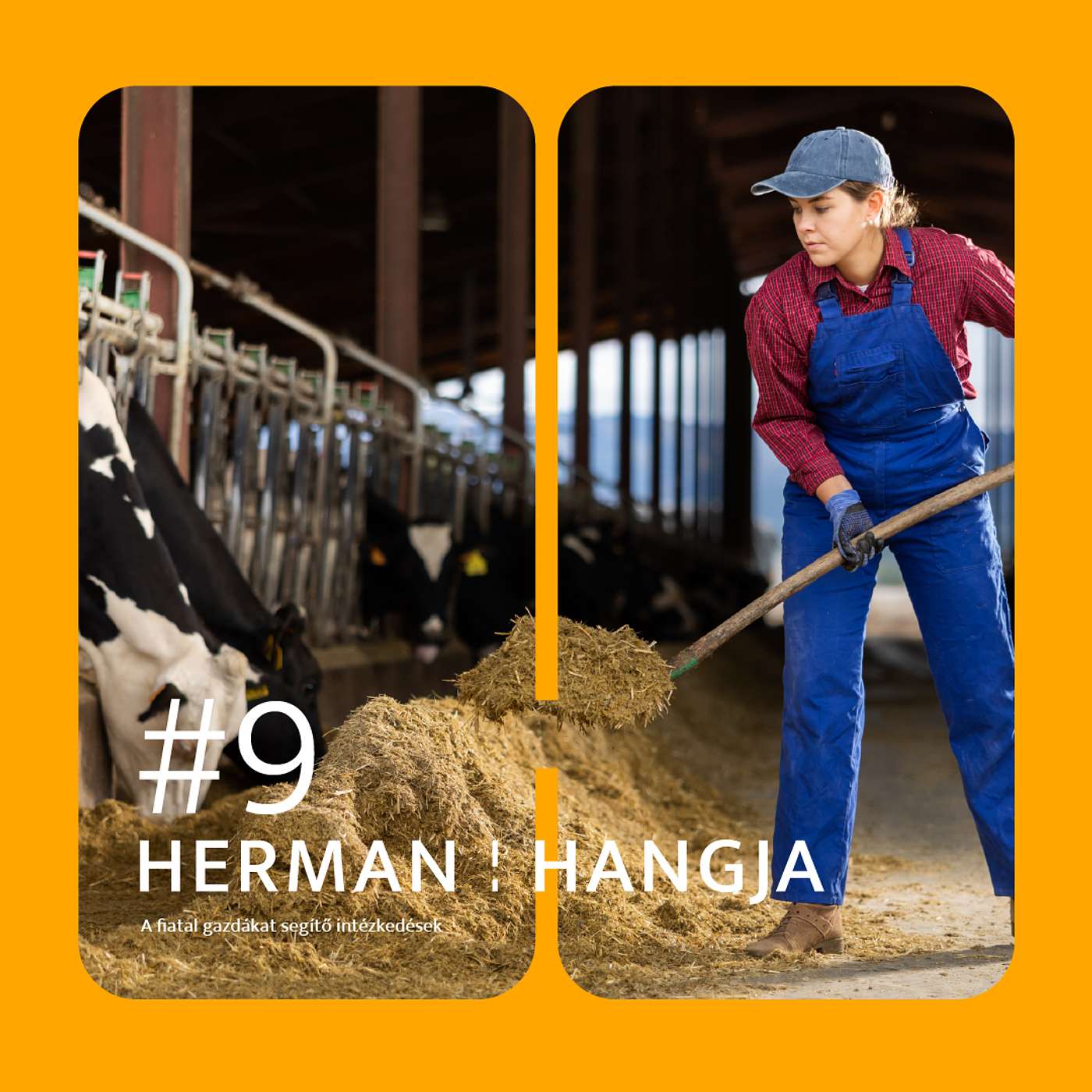 Herman hangja