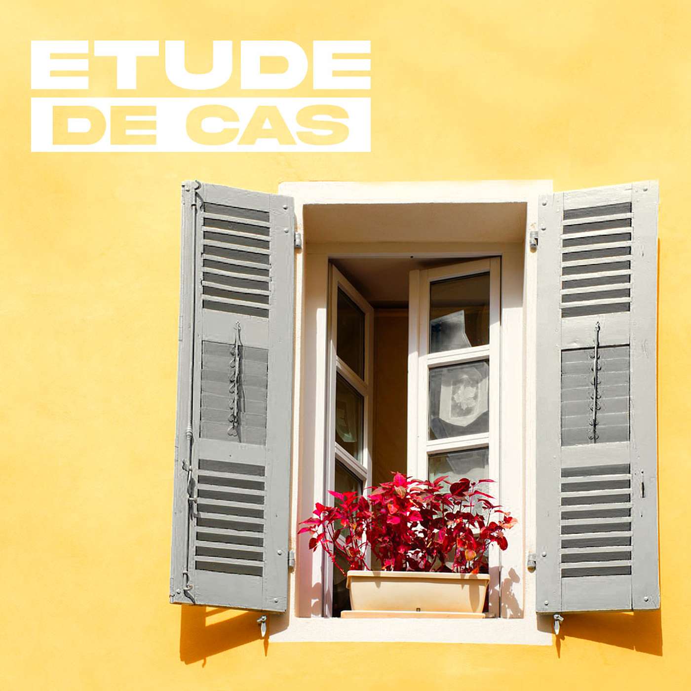 Stéphane Edouard • Études de cas