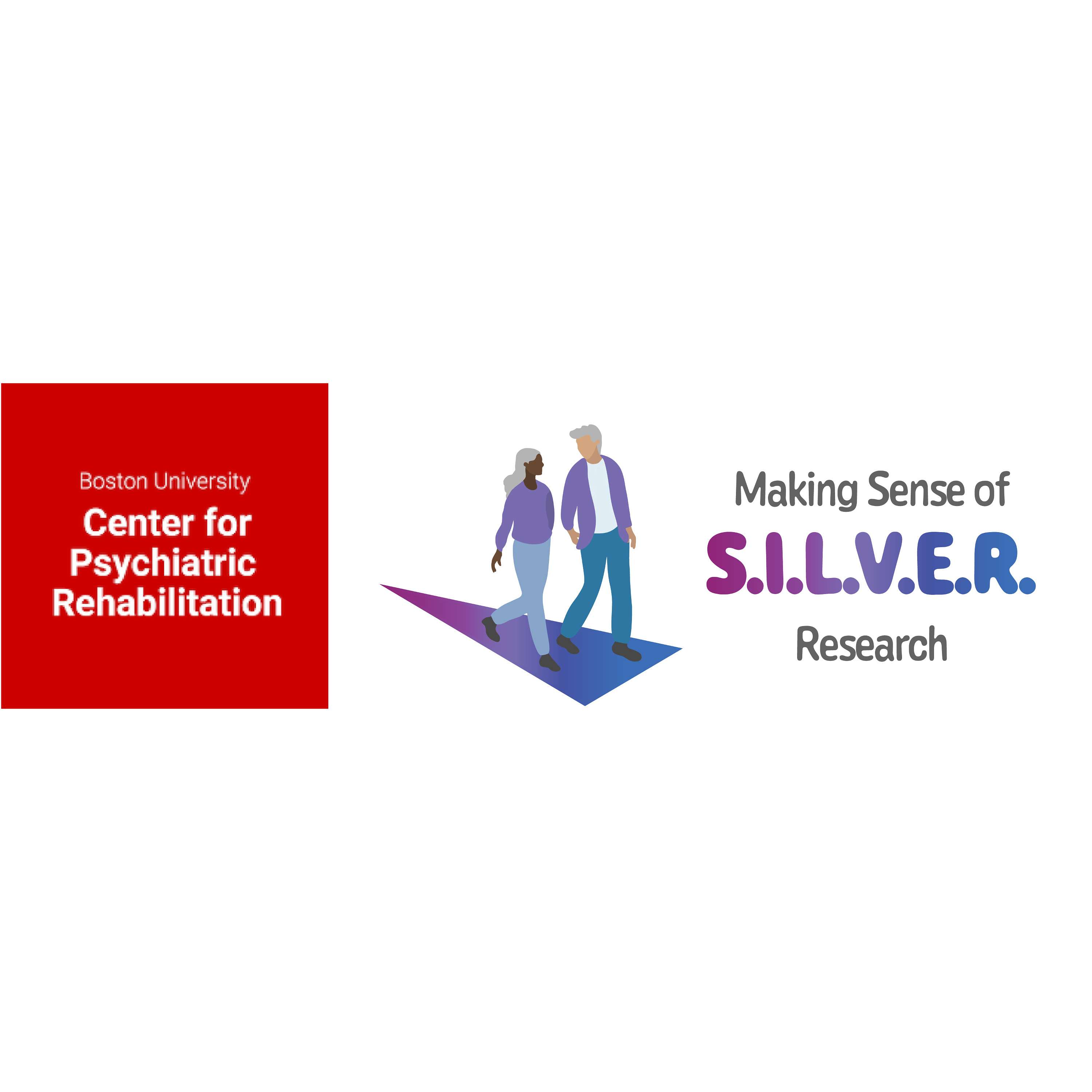 Making Sense of S.I.L.V.E.R. Research