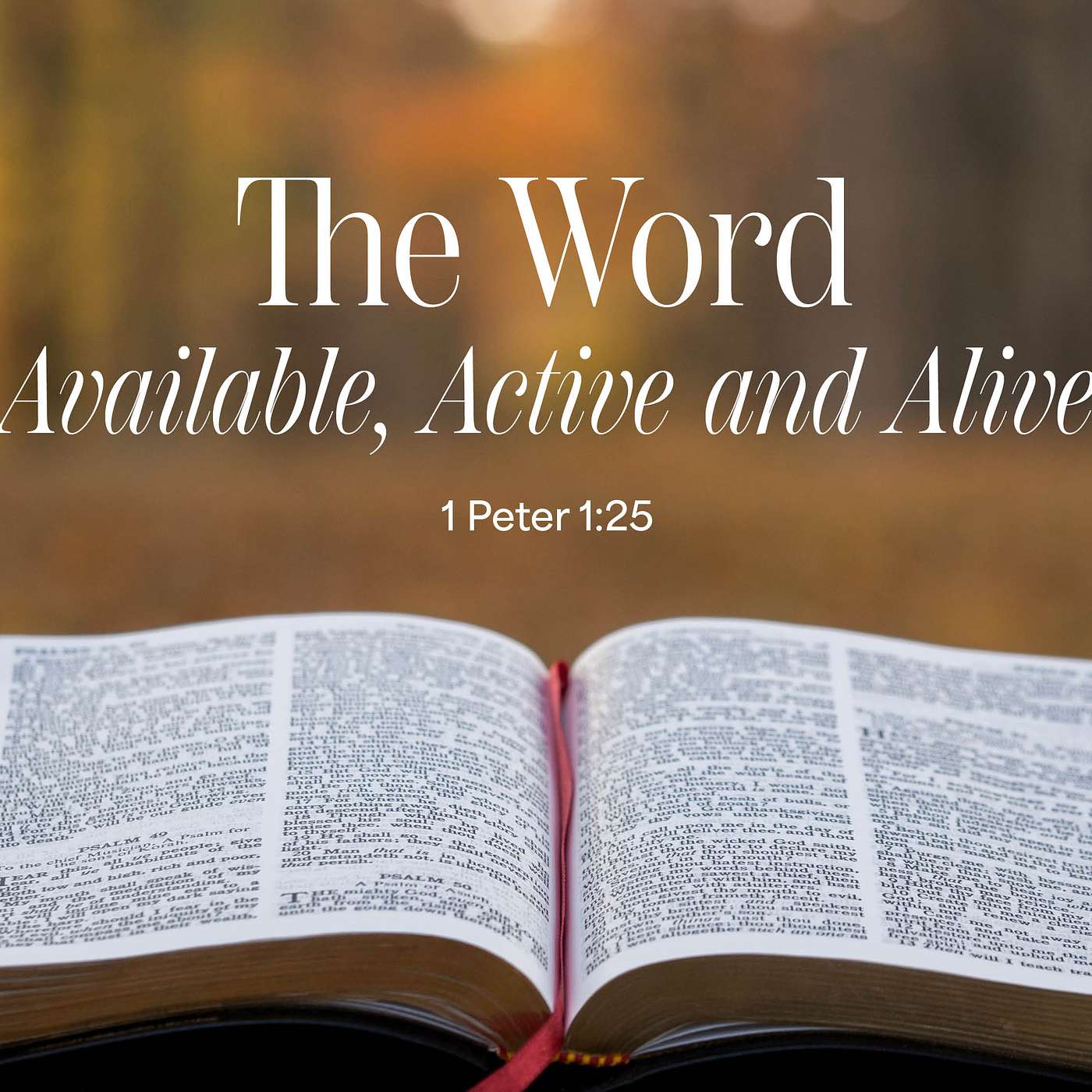 Pastor Robert Maasbach - The Word (Part 3)