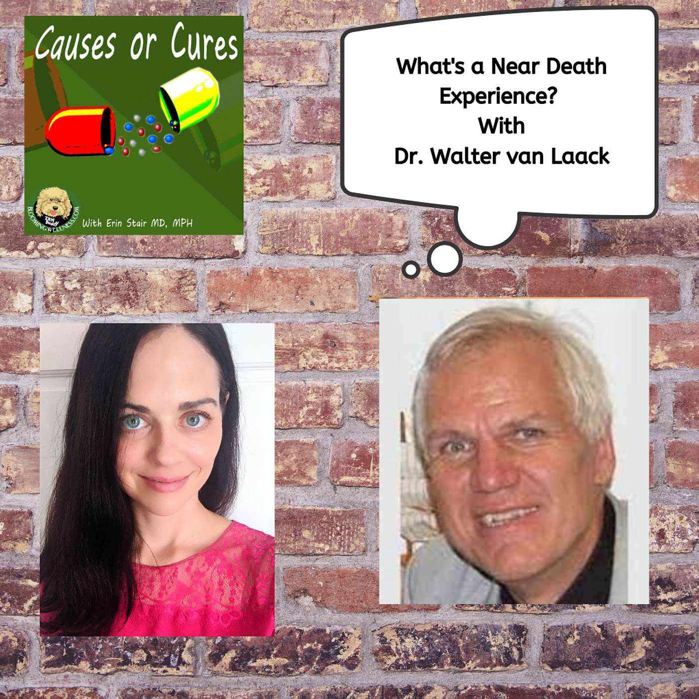 What's a Near Death Experience?  With Dr. Walter van Laack