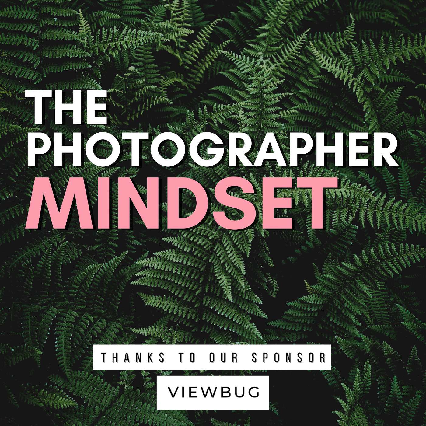 The Photographer Mindset