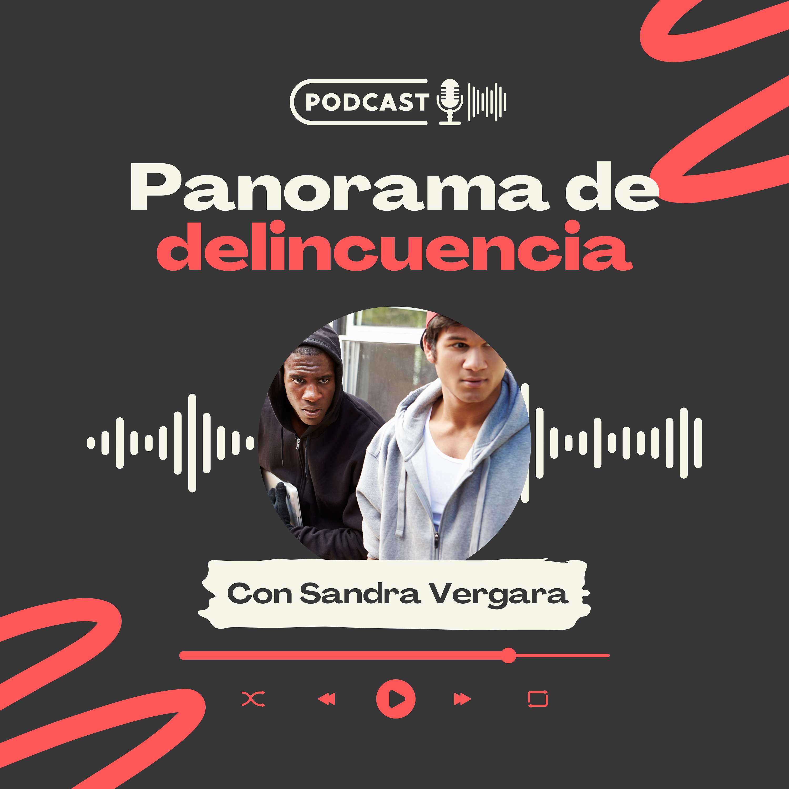 Panorama de delincuencia