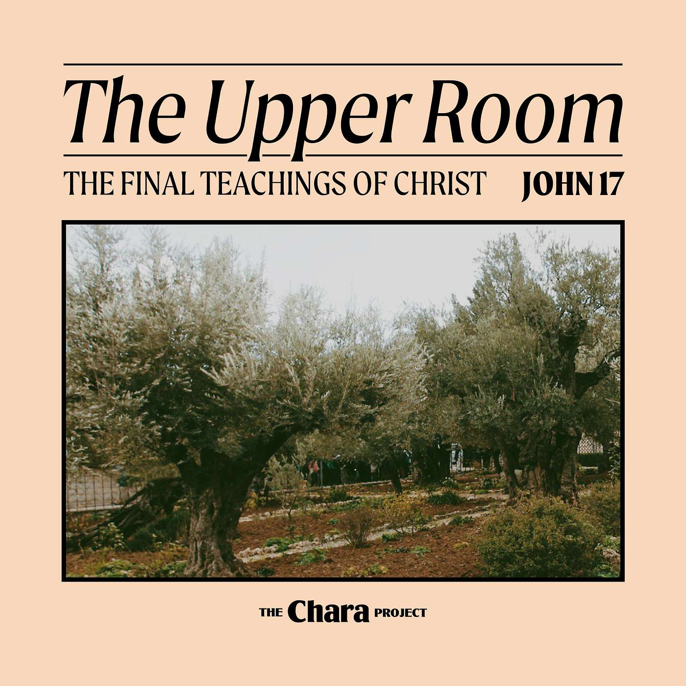 The Chara Project Podcast