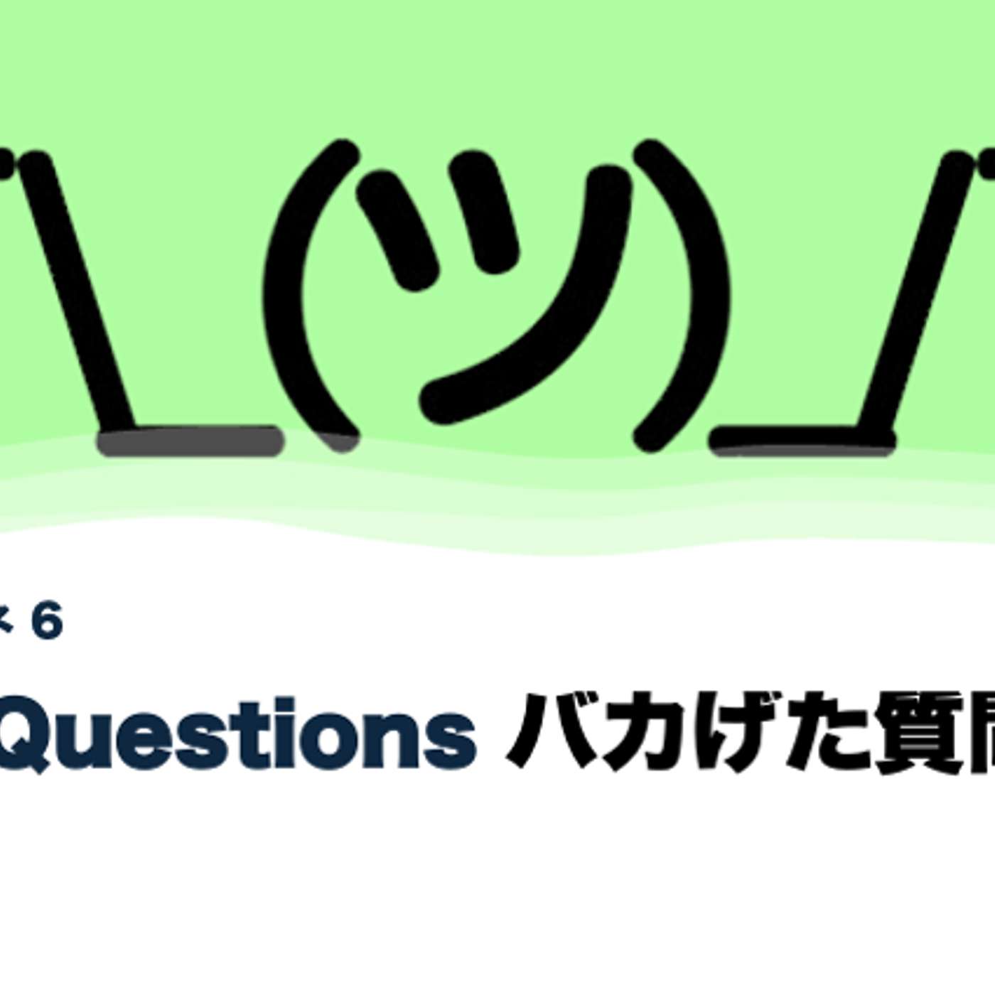 Silly Questions バカげた質問 Silly Questions バカげた質問