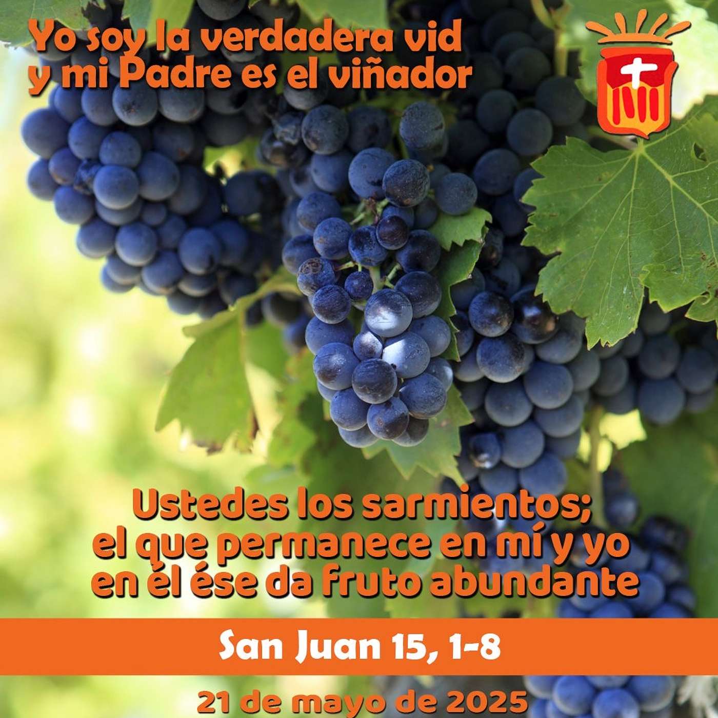 2025-05-21 San Juan 15, 1-8: Miércoles V Pascua