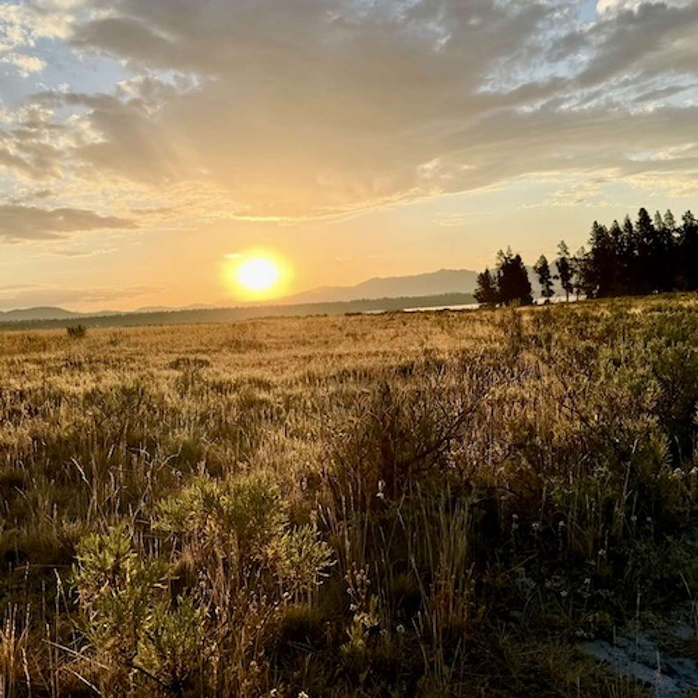 Westminster Talking the Text