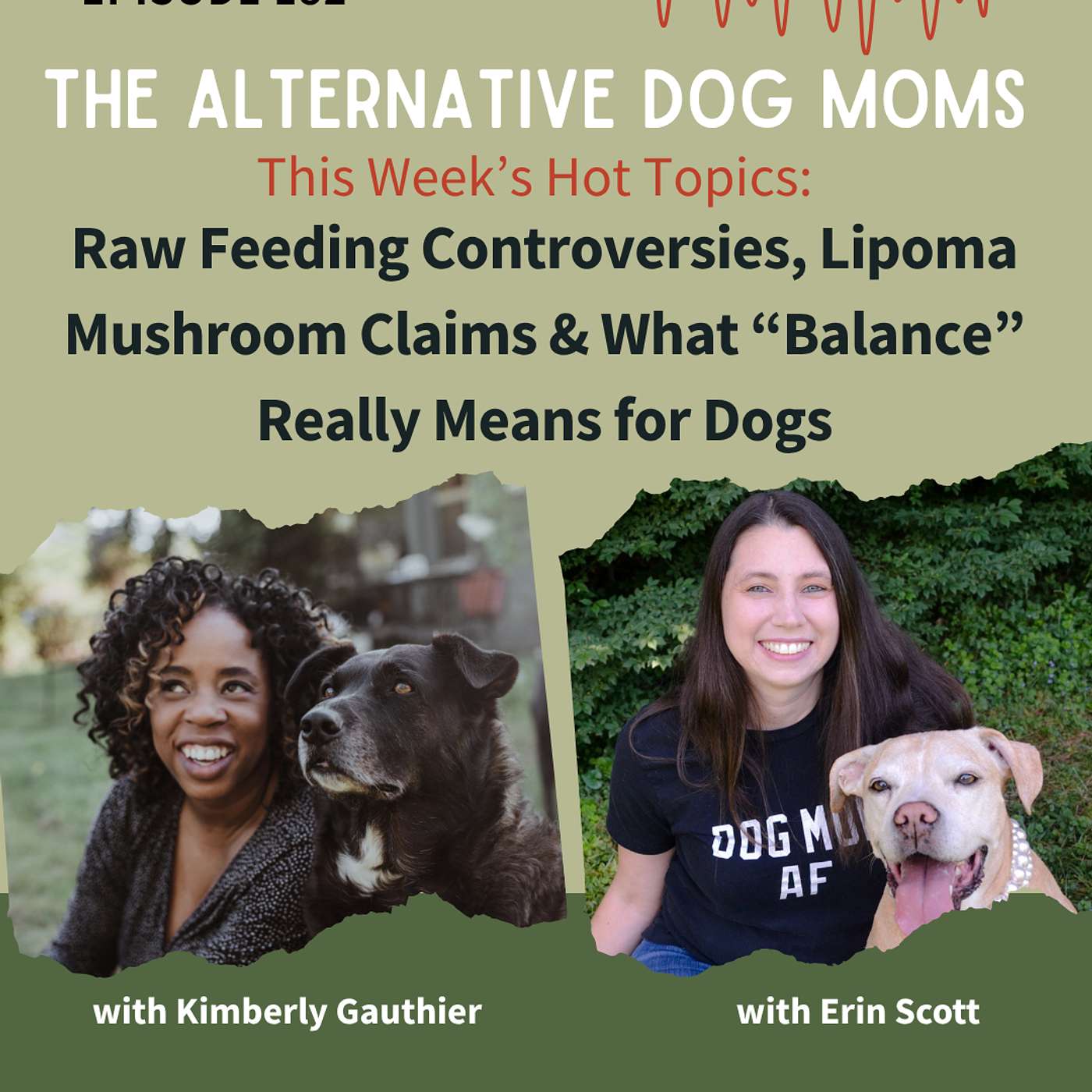 Hot Topics: Raw Feeding Controversies, Lipoma Mushroom Claims & What “Balance” Really Means for Dogs