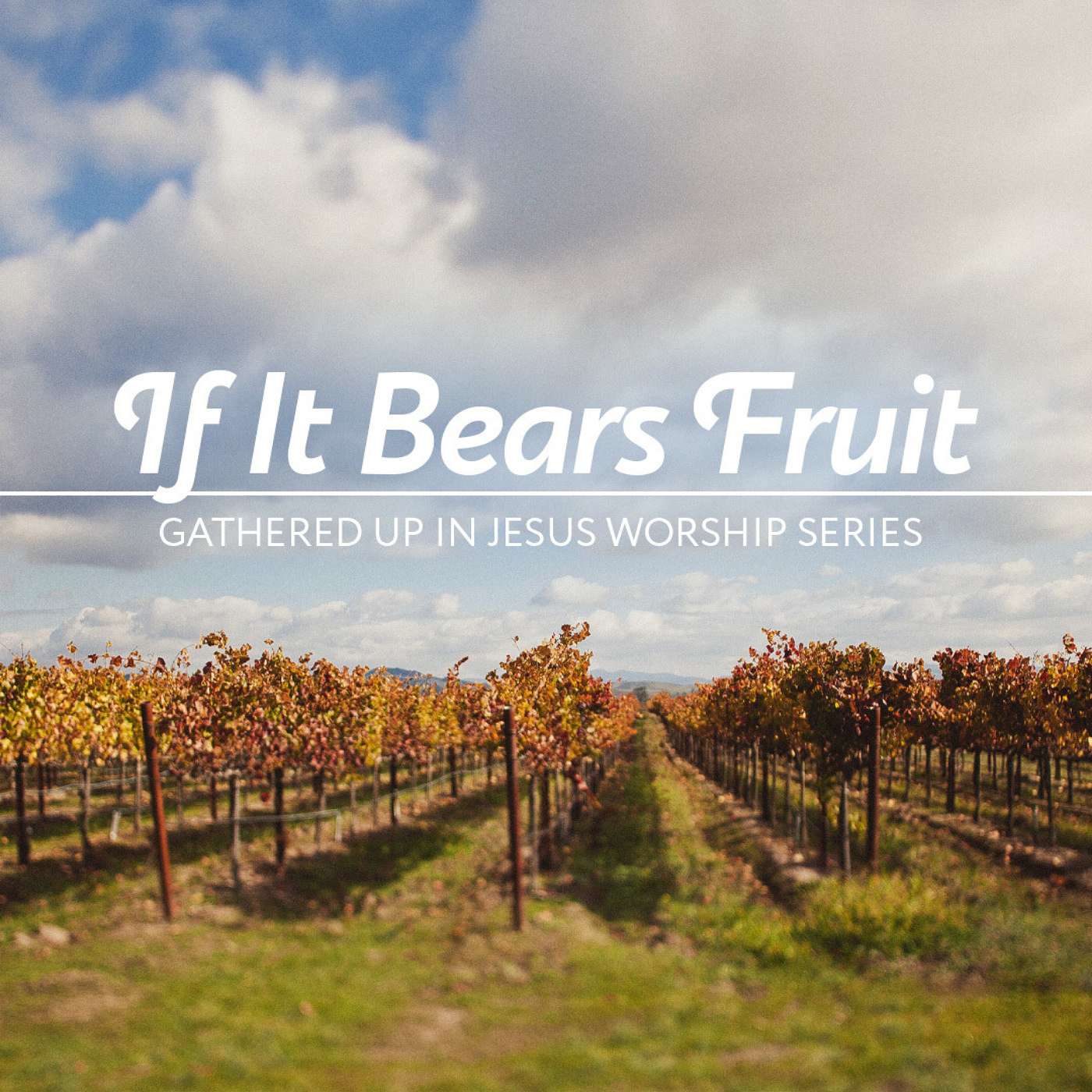 3-20-22 If It Bears Fruit: Gathered up in Jesus (Third Sunday of Lent) episode artwork
