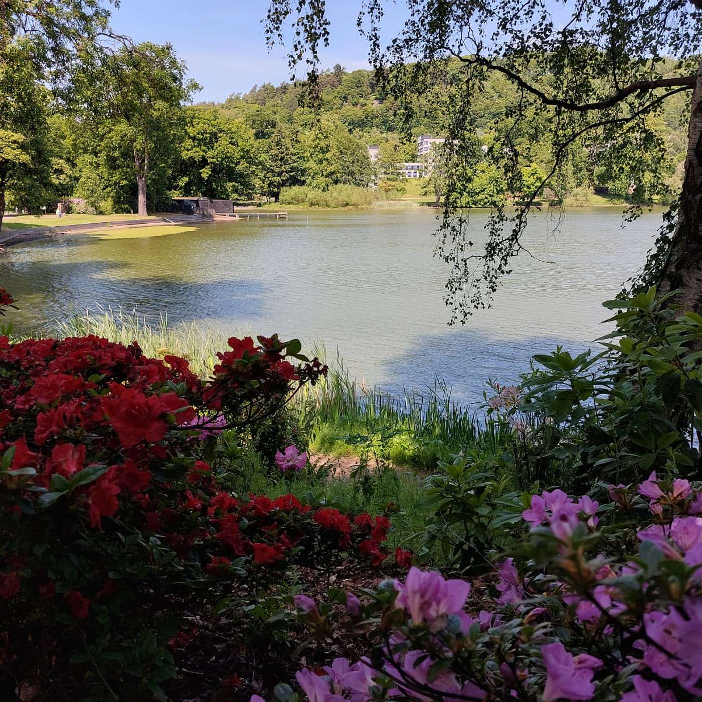 Let’s Talk About… Unheard Stories