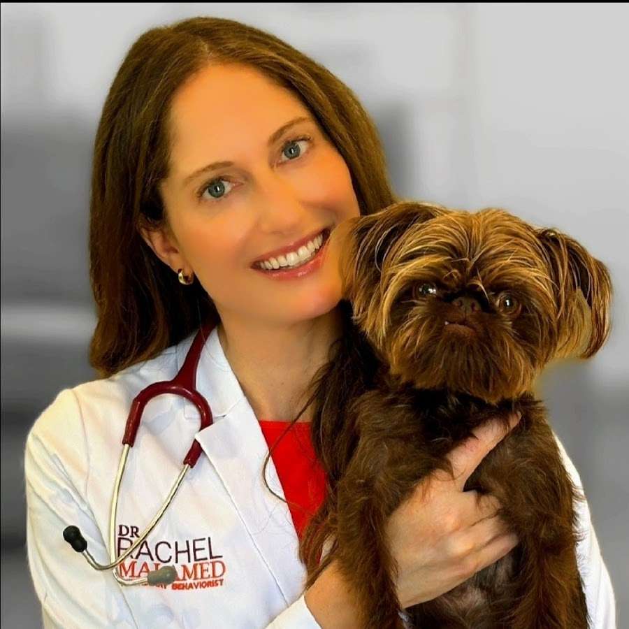 Dr. Rachel Malamed, DVM