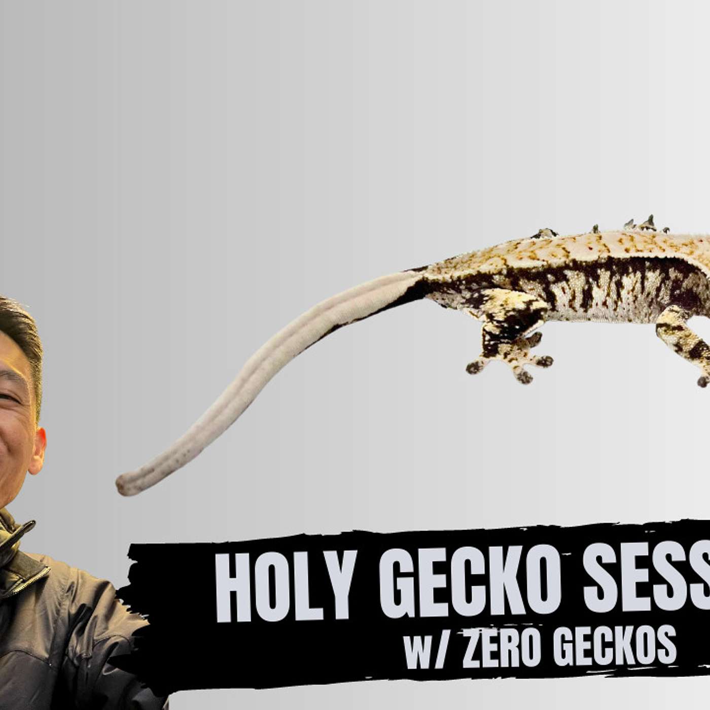Harry speaks on his growth in the Gecko community