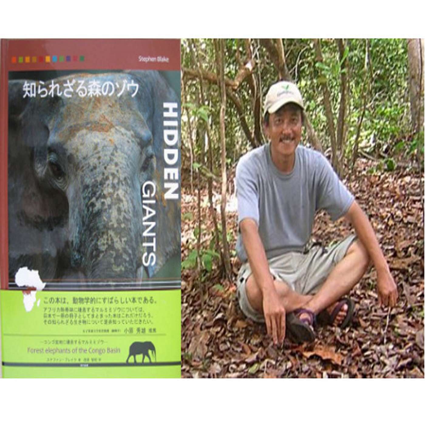 Forest Elephant Conservation in Central Africa and Curbing the Japanese Ivory Trade with Dr. Tomoaki Nishihara episode artwork