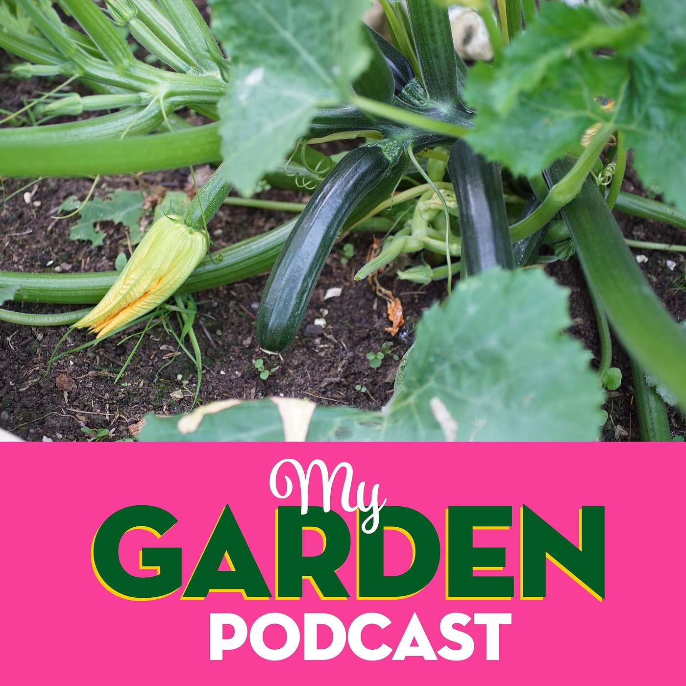 My Garden Podcast - Gardening Podcast
