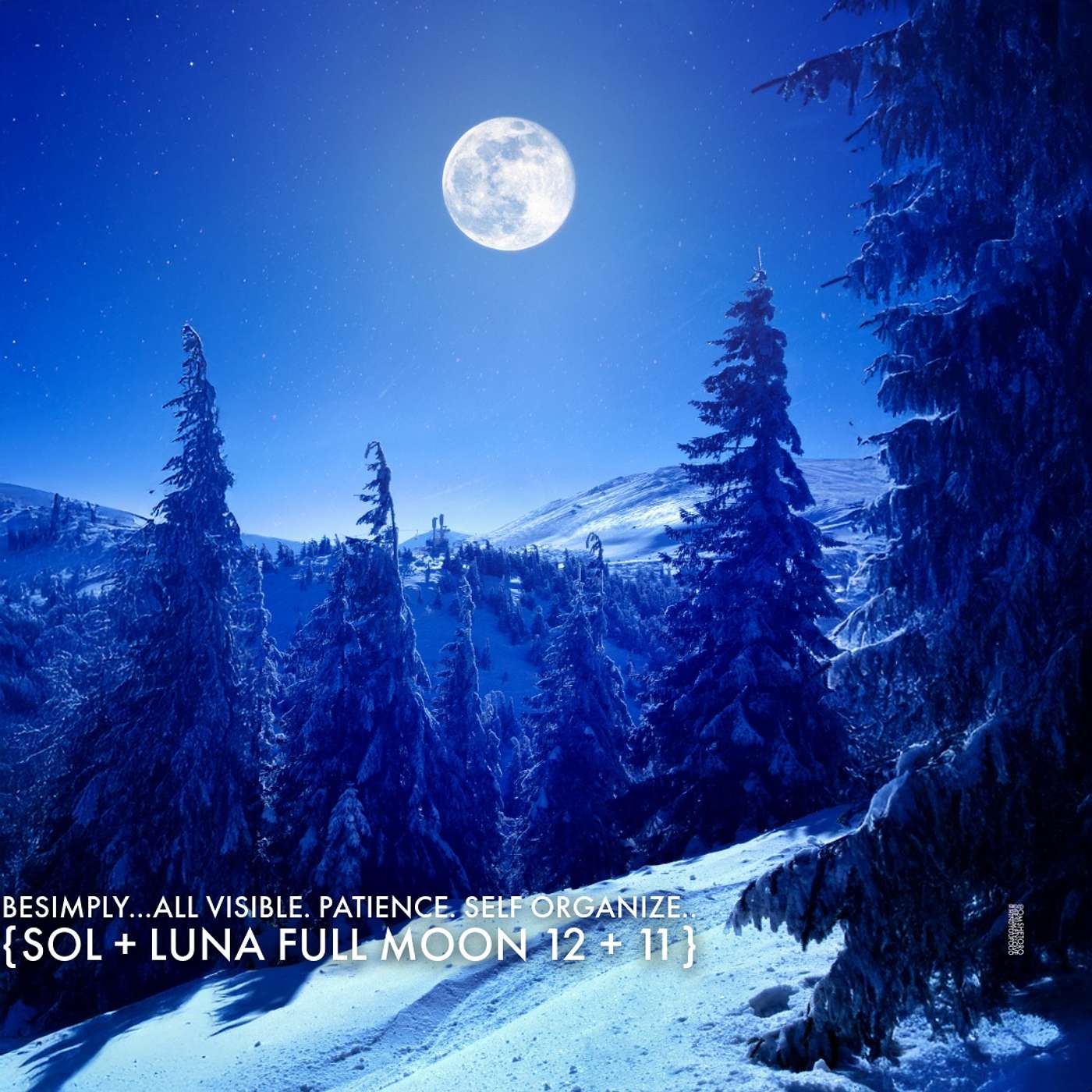 BeSimply...All Visible. Patience. Self Organize. {Sol + Luna Full Moon 12 + 11}