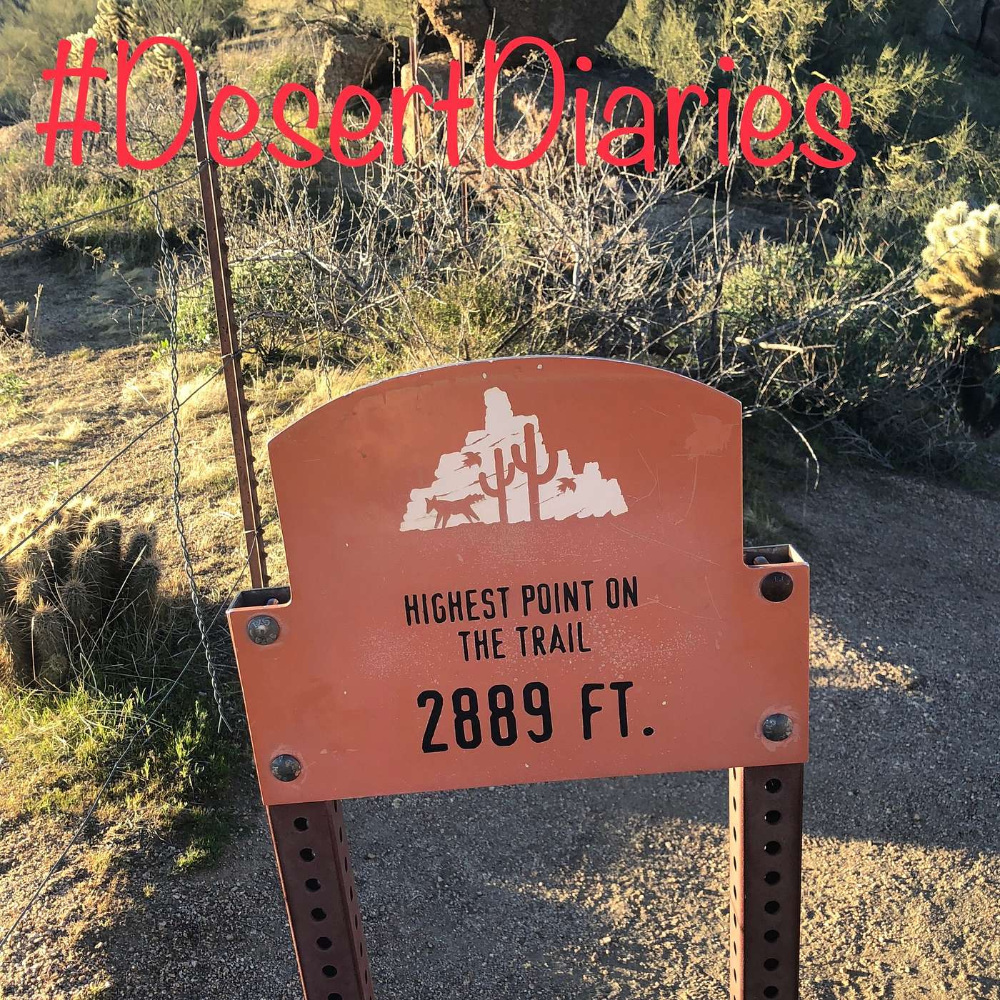 Week forty-two: Climbing all kinds of mountains