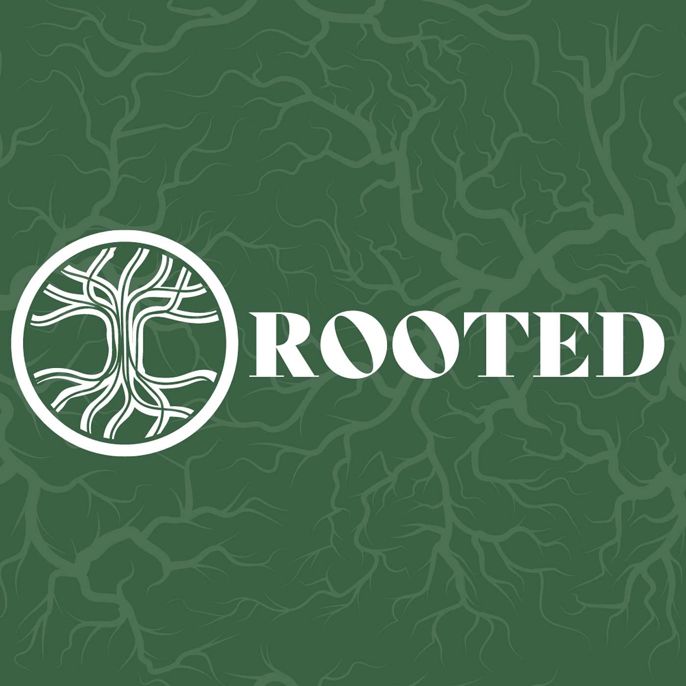 Ephesians 3 - Rooted | In Love