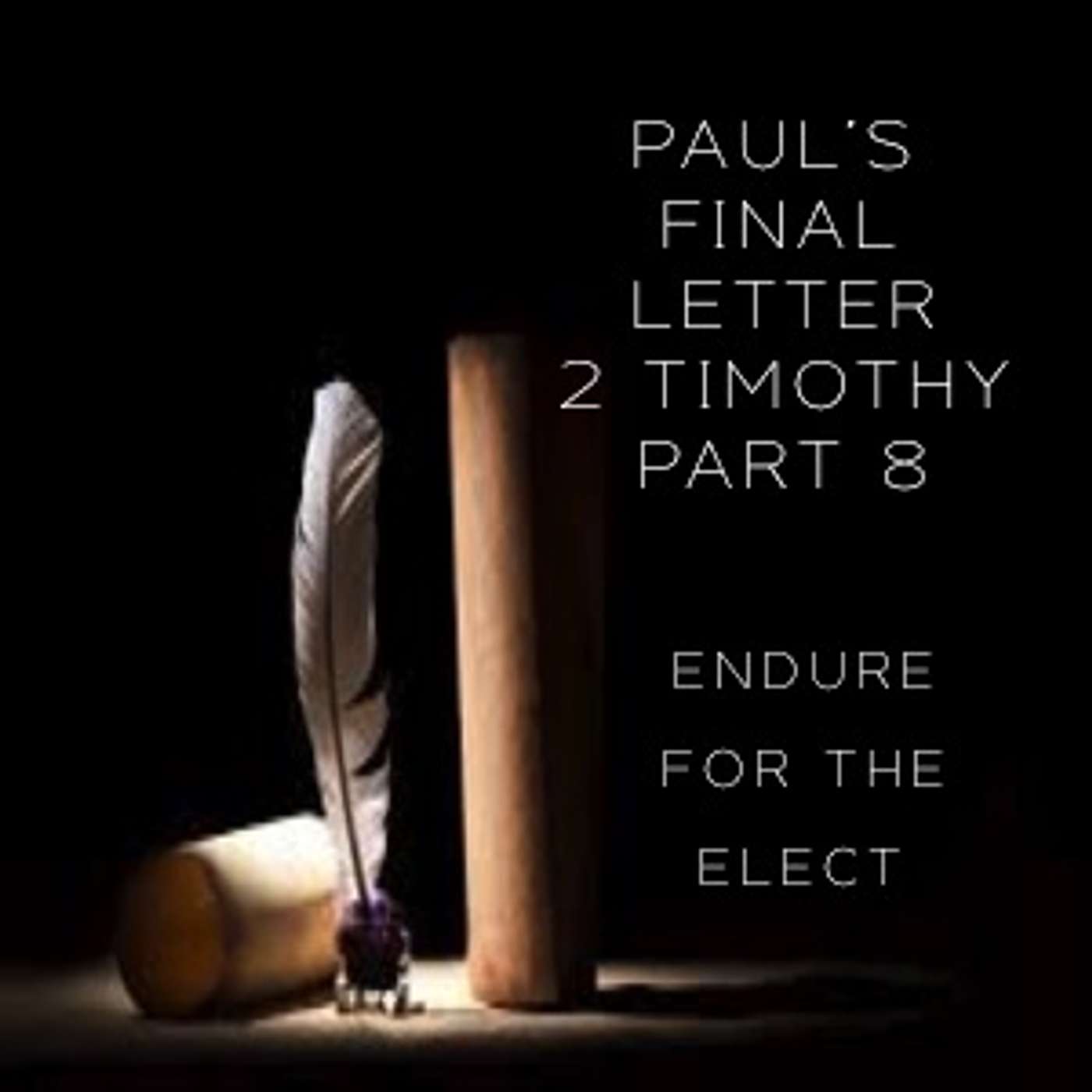 Paul's Final Letter 2 Timothy Part 8 - Endure For The Elect episode artwork