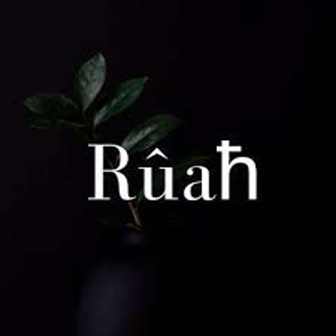 C&SI - Living attentively - Sharing with Martina Lehane Sheehan - 19 Jan 2025 (S05E08)