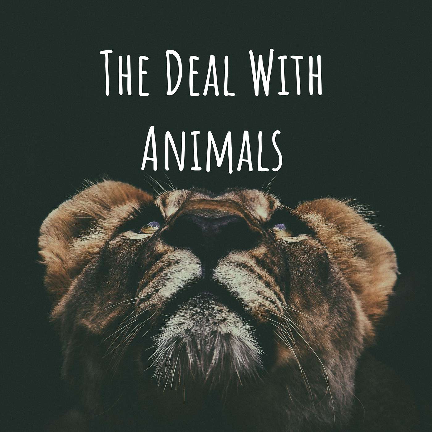 44: Animals and Domestic Violence with Therese Lilliesköld (S5)