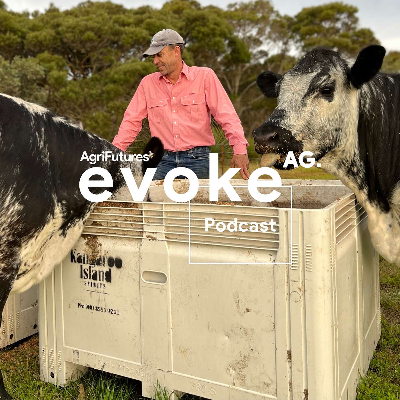 Malted barley waste, a sustainable feedstock for cattle on Kangaroo Island