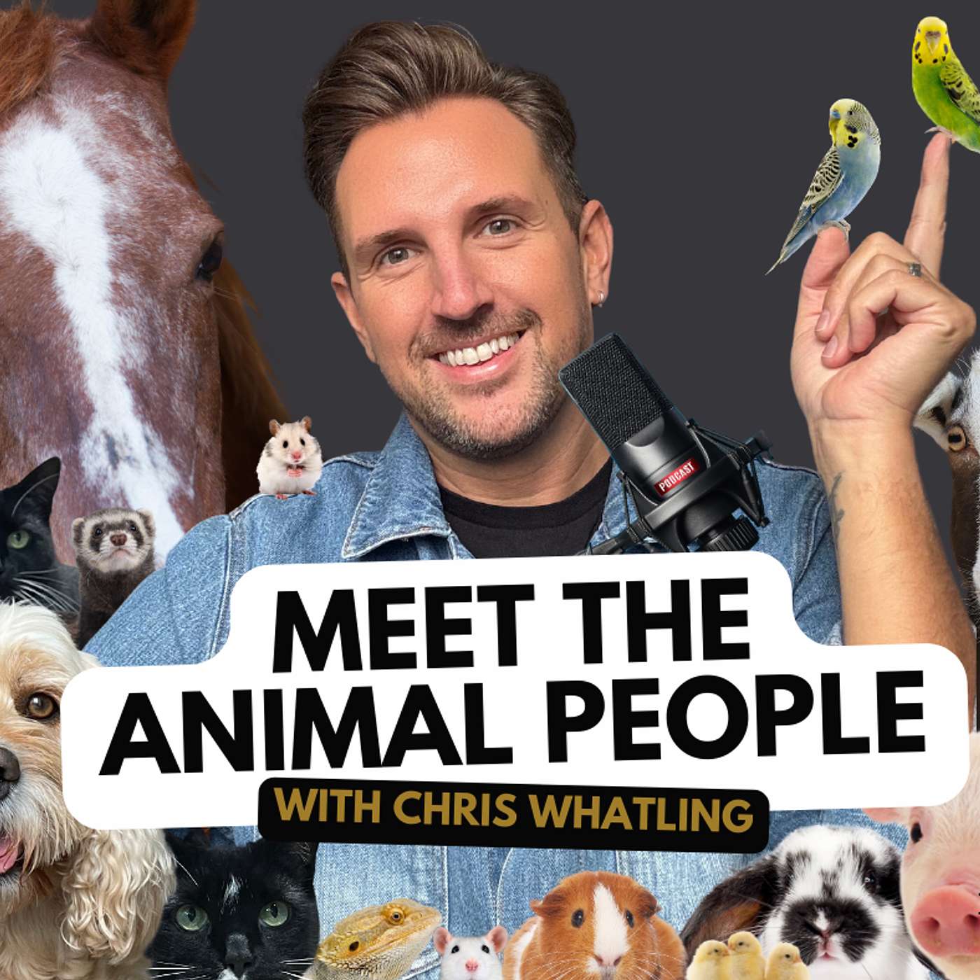 Meet The Animal People with Chris Whatling