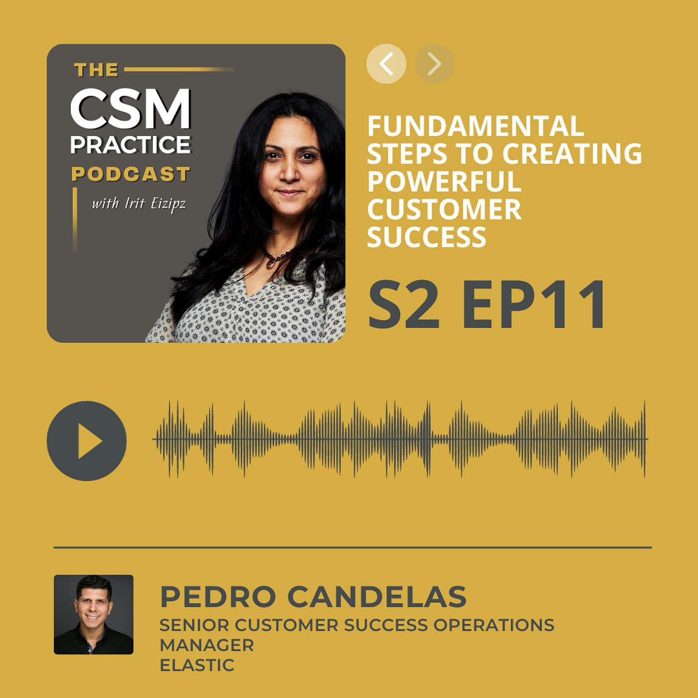 CSM Practice - The Customer Success Podcast