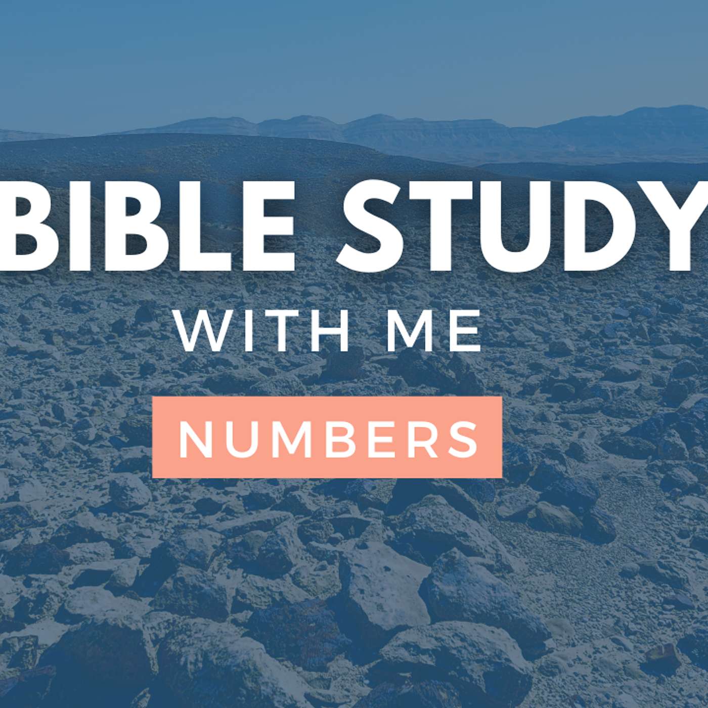 Numbers 27 | You're Allowed to Ask God For This! [Bible Study WITH Me] episode artwork