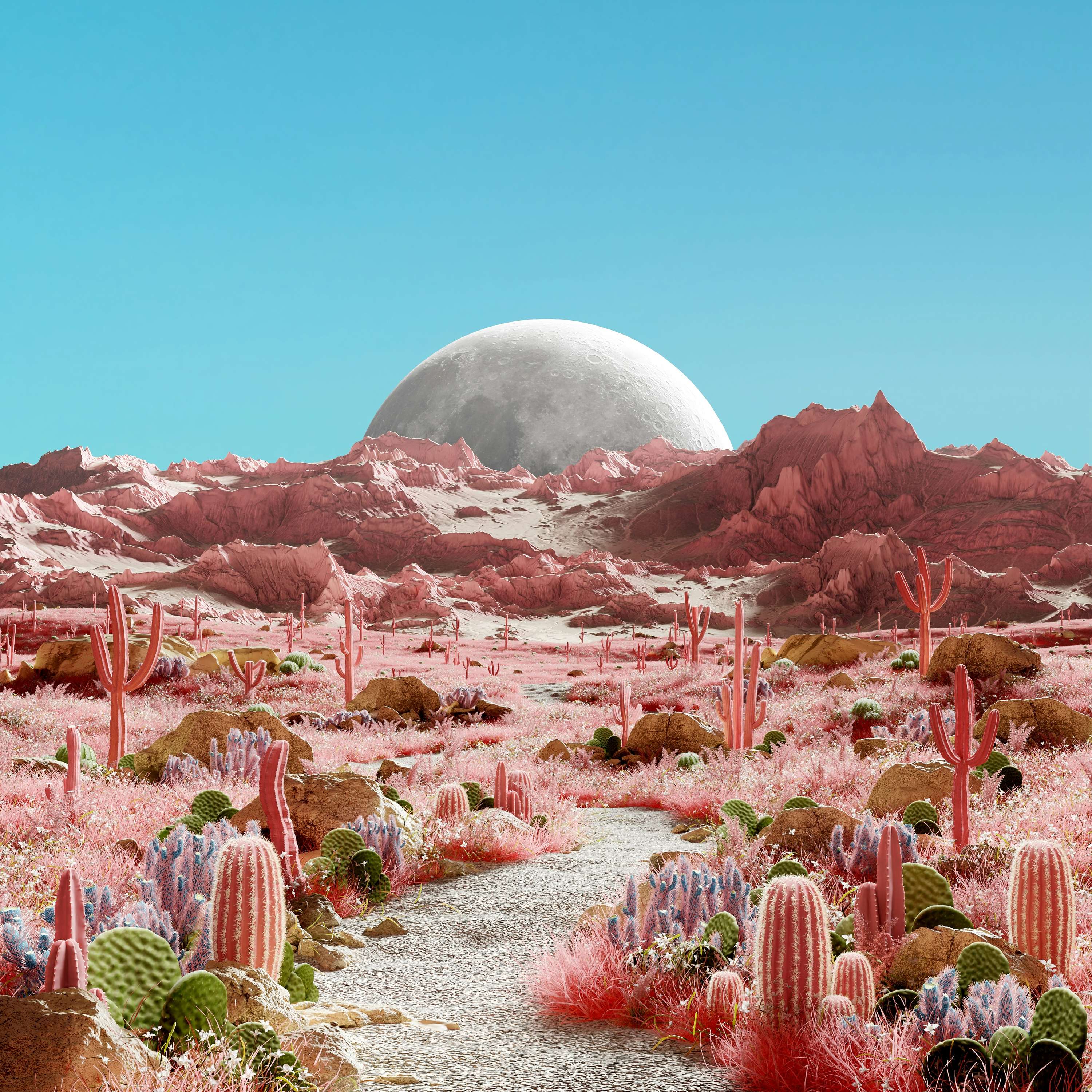 Astrology Updates by Charlotte Artwork