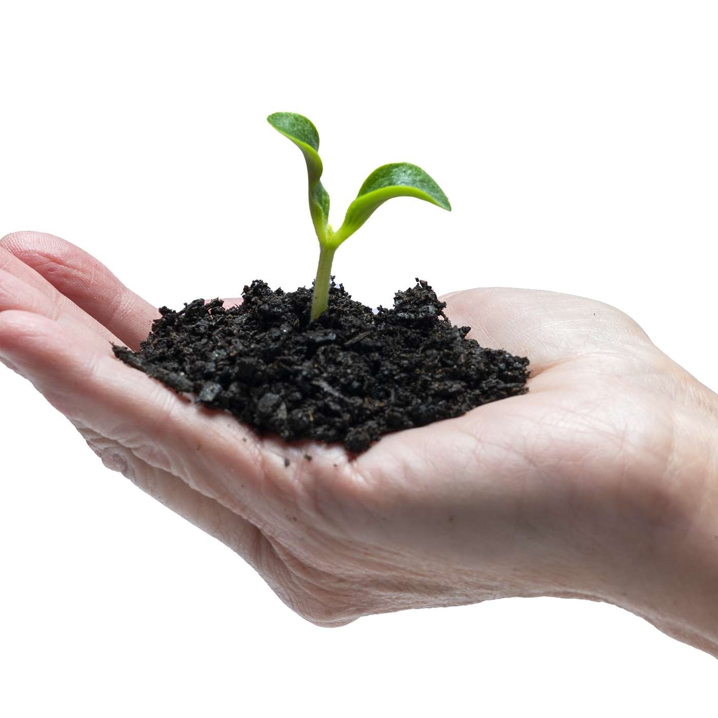 How you view an outcome