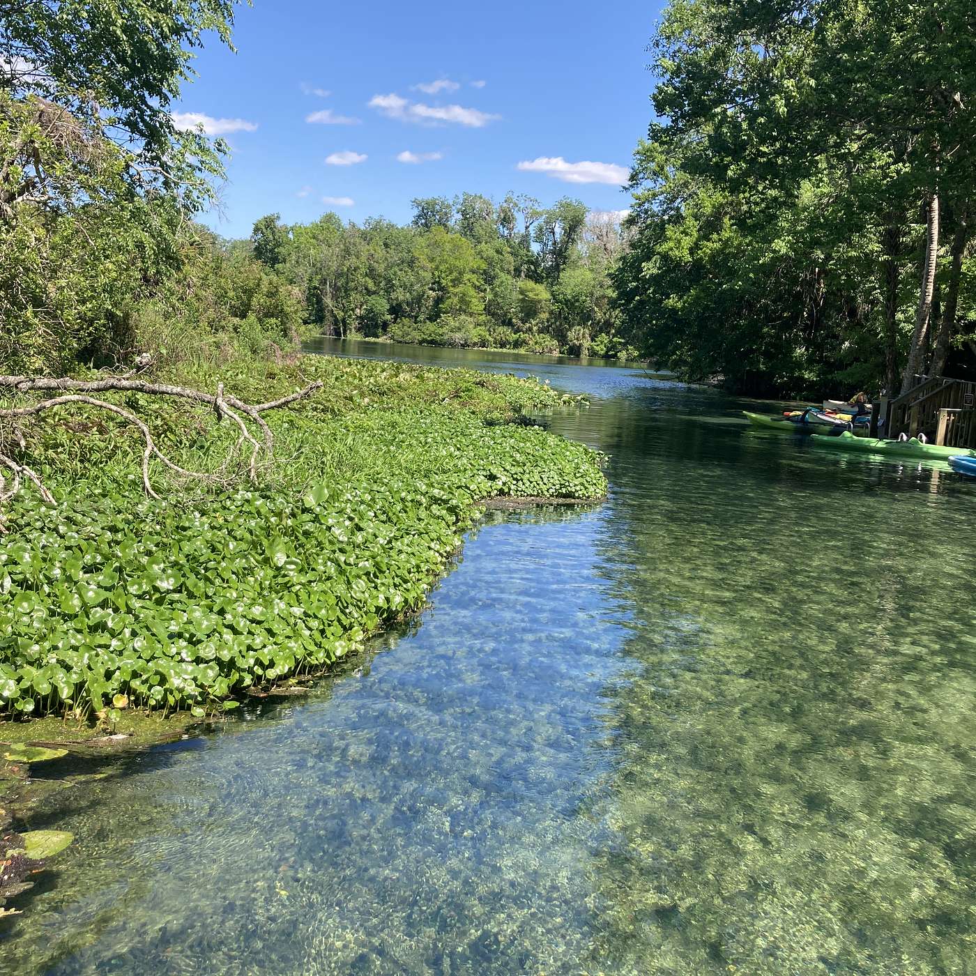 Florida Spectacular